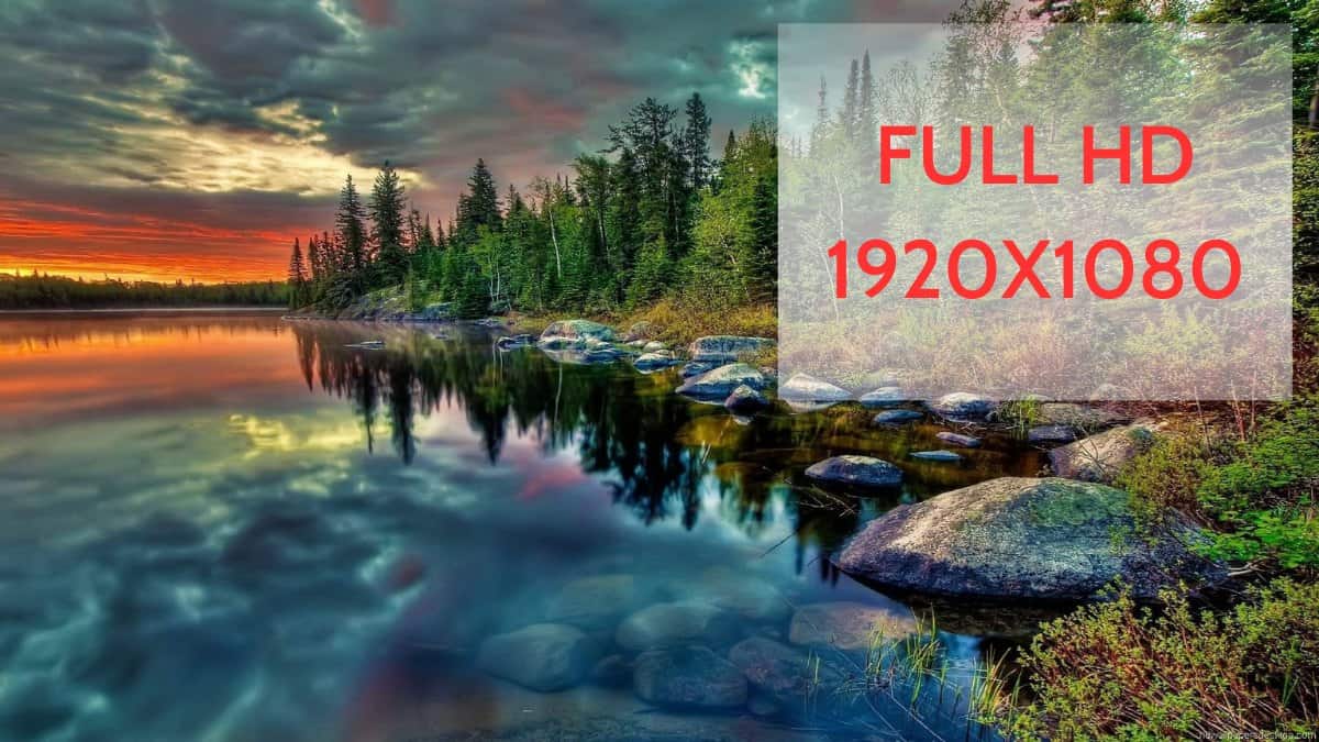Màn hình máy tính Full HD là là gì? Lợi ích khi sử dụng màn hình máy tính Full HD?