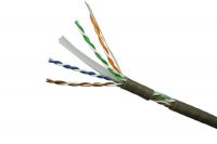 Cáp mạng Dintek CAT6 UTP 100m/box (1101-04023)