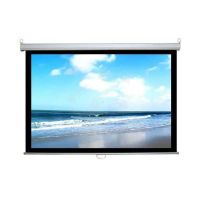 Màn chiếu treo tường DALITE P96WS (96inch x 96inch | 135 inch)