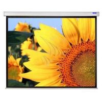 Màn chiếu treo tường DALITE P70WS (70inch x 70inch | 100inch)